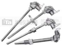 耐腐型耐磨型熱電阻